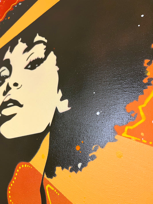 Discovibes: De diva van de jaren zeventig 40x50